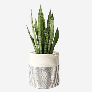 Plant Basket Modern Indoor